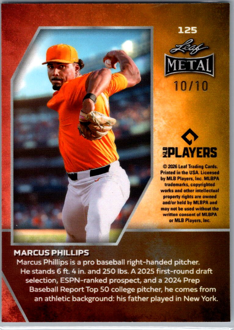 Marcus Phillips Leaf Metal Stainless 